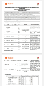 Bank Of Baroda Job Vacancy 2024